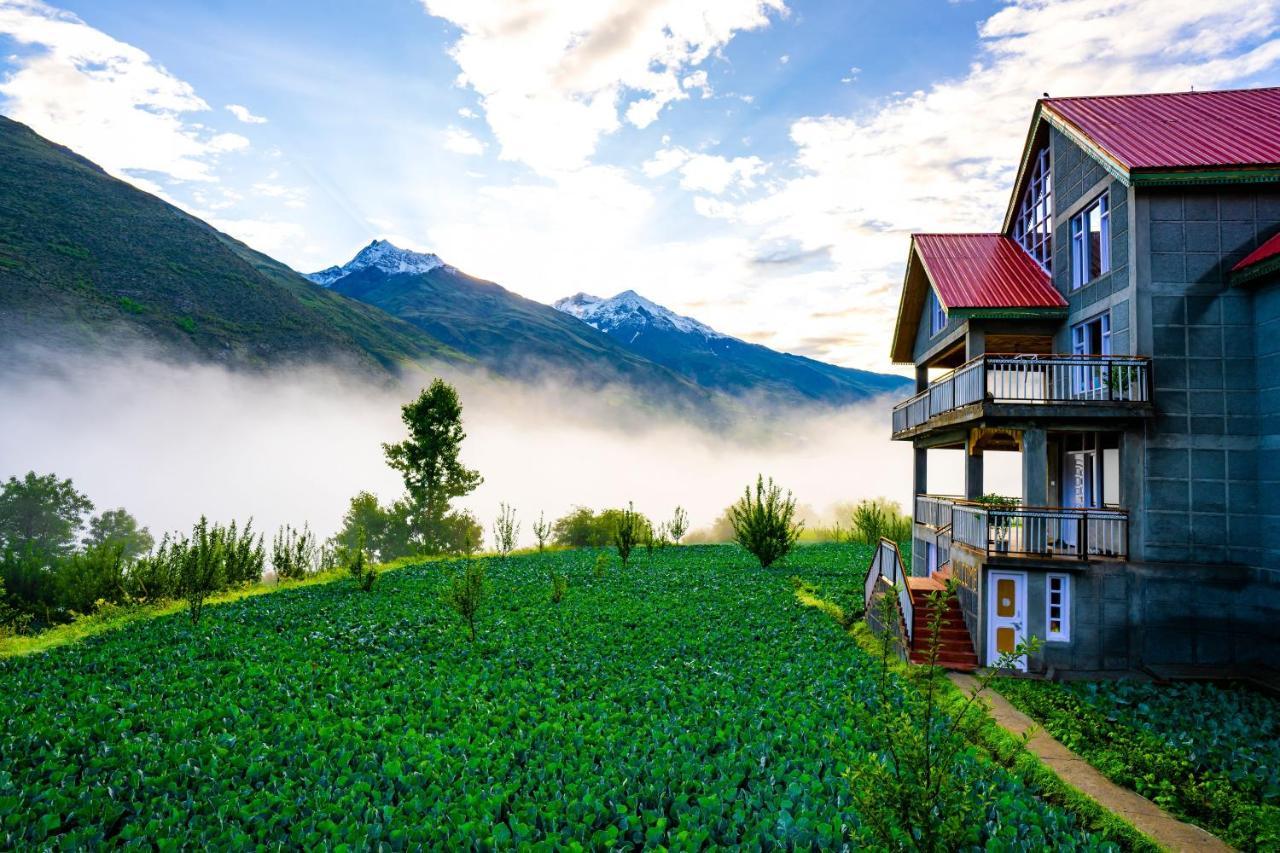 Zostel Homes Rashil Tandi Dış mekan fotoğraf
